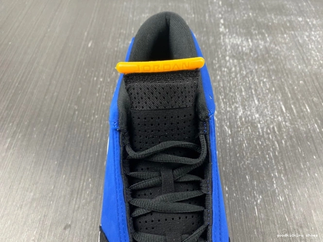 Jordan 14 Laney 487471-407 Retro 0817